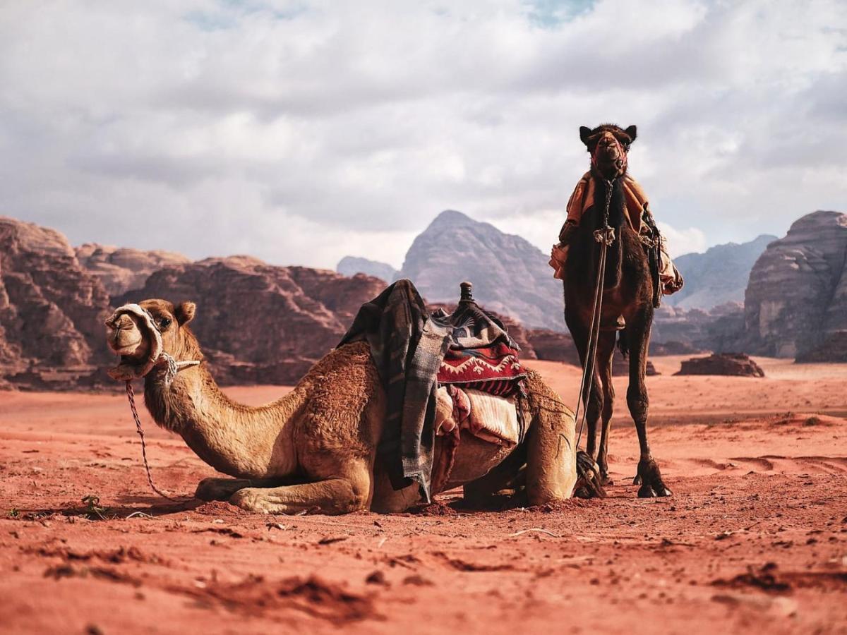 Wadi Rum Nights Dış mekan fotoğraf