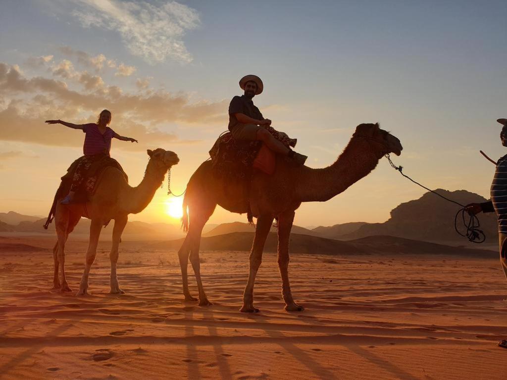 Wadi Rum Nights Dış mekan fotoğraf