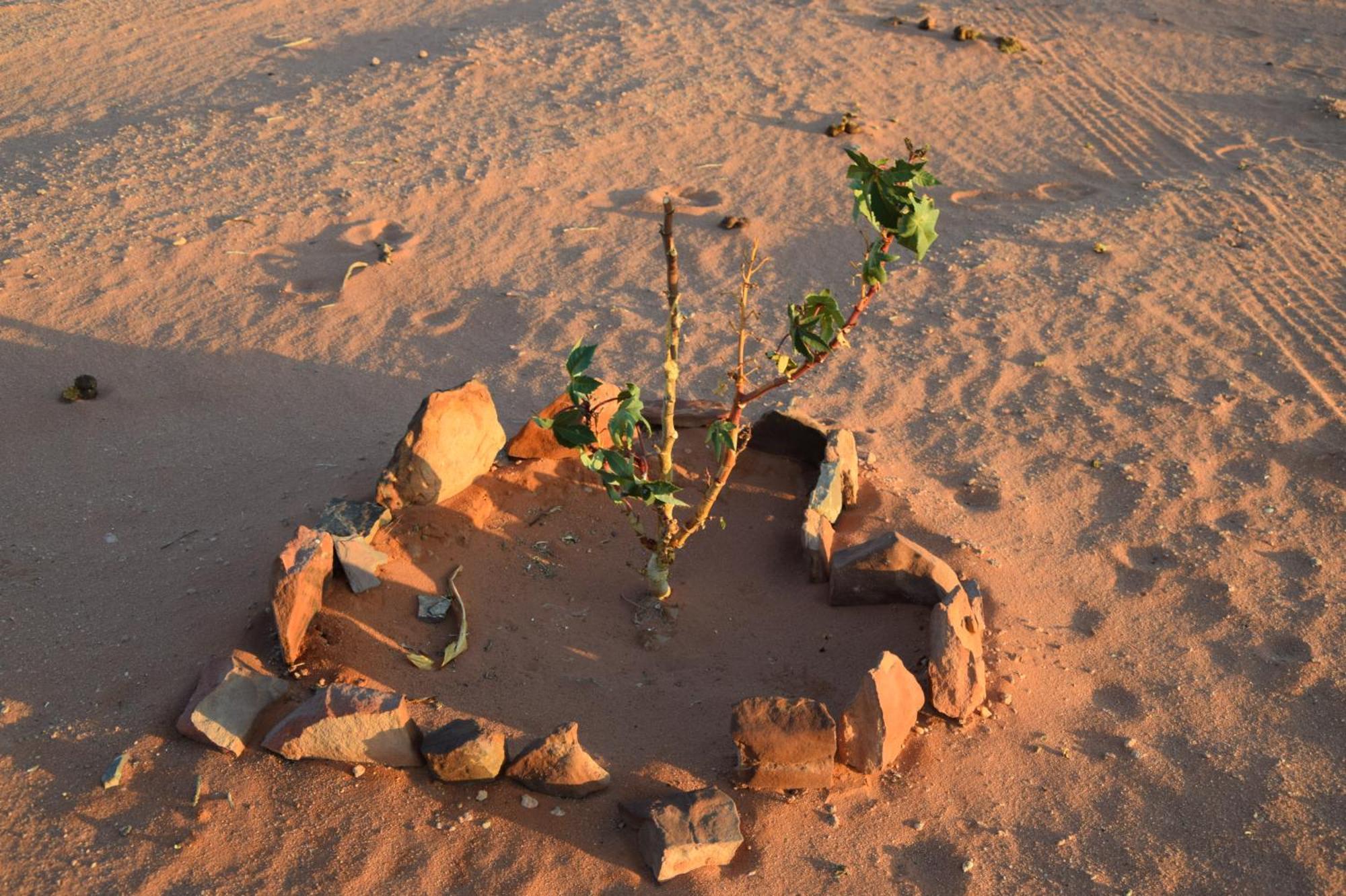 Wadi Rum Nights Dış mekan fotoğraf