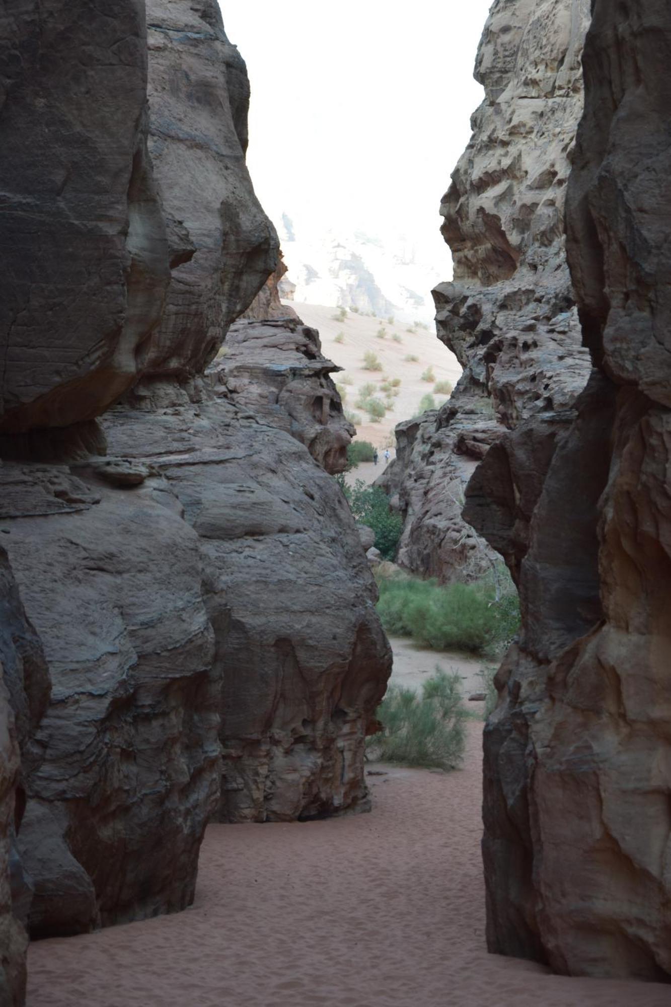 Wadi Rum Nights Dış mekan fotoğraf